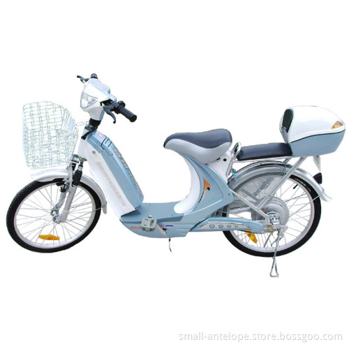 TDL098Z Electric Bicycle
